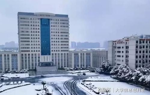 武漢輕工大學(xué)王牌專業(yè)有哪些 這個就很好